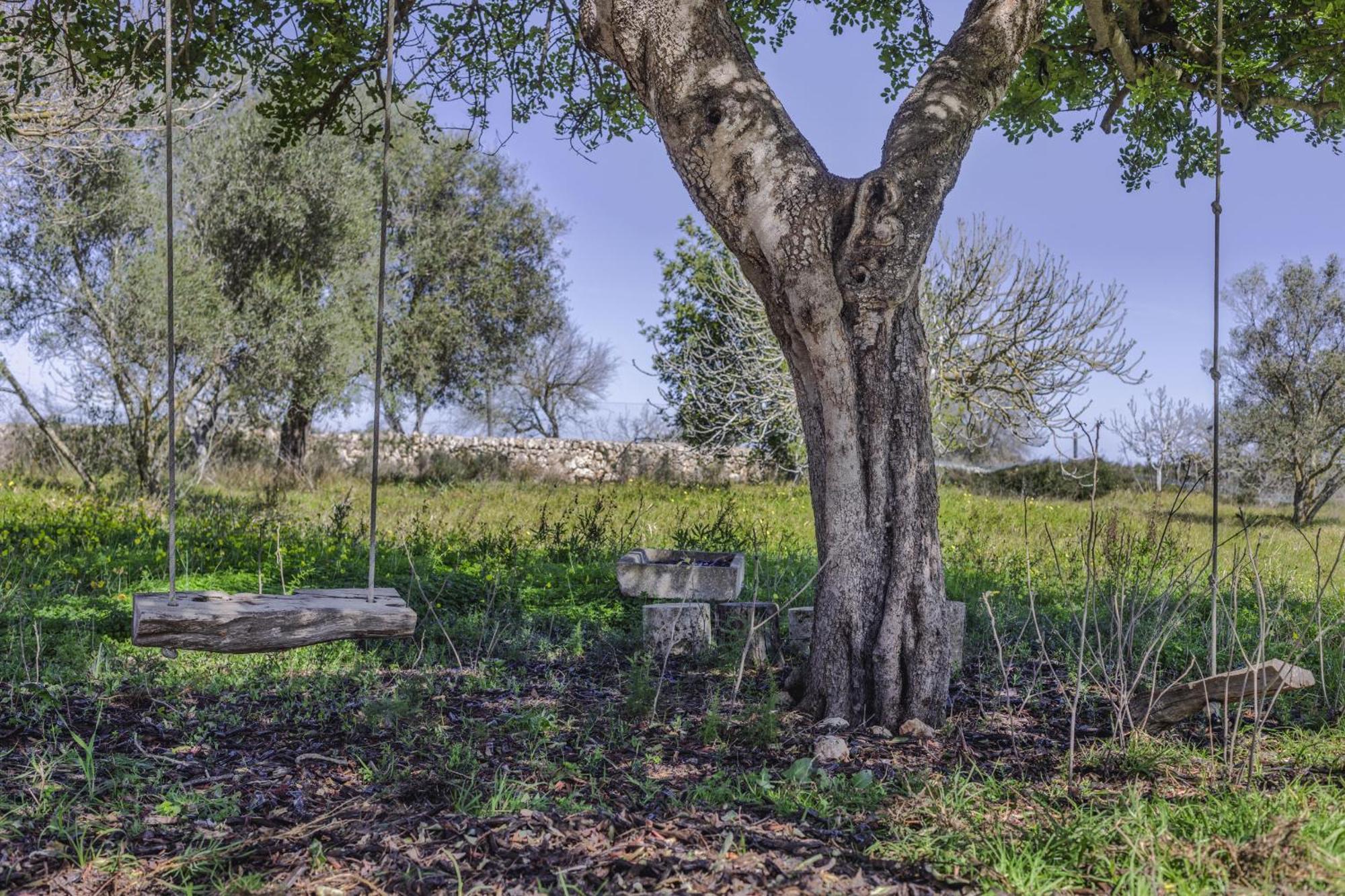 Finca Sa Torreta Santa Margalida Bagian luar foto